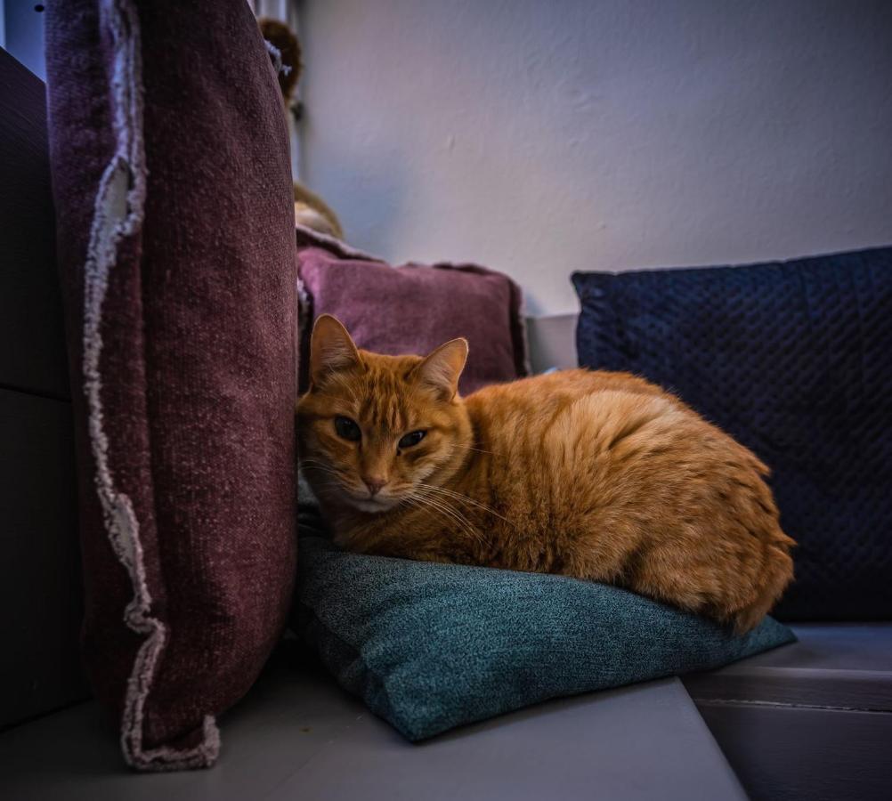 ミデルブルグ De Kaepstander Bed & Breakfast エクステリア 写真